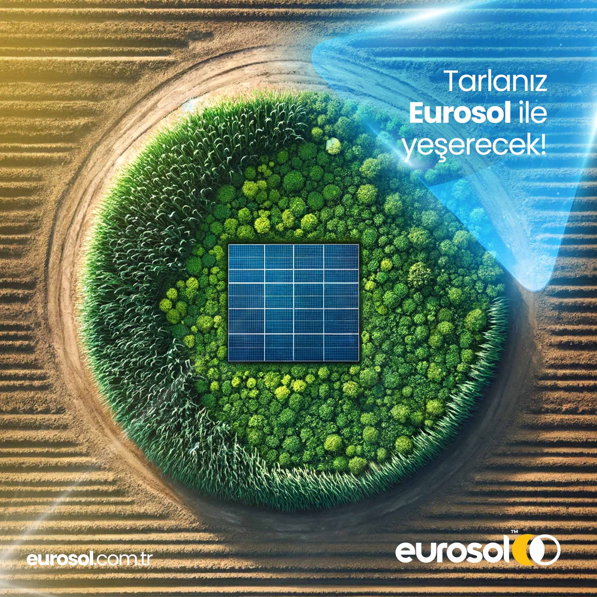 brochure image