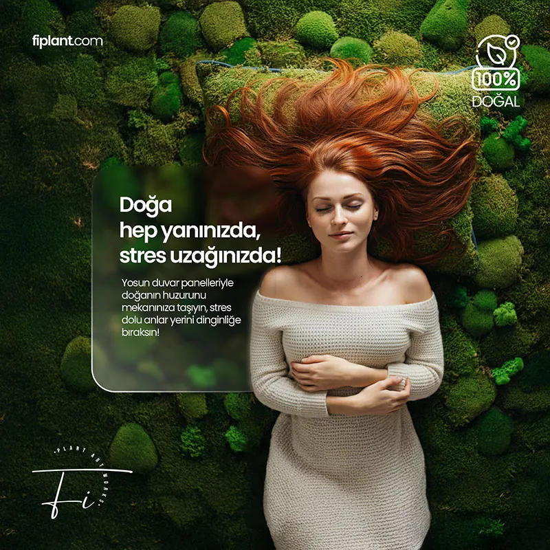 brochure image