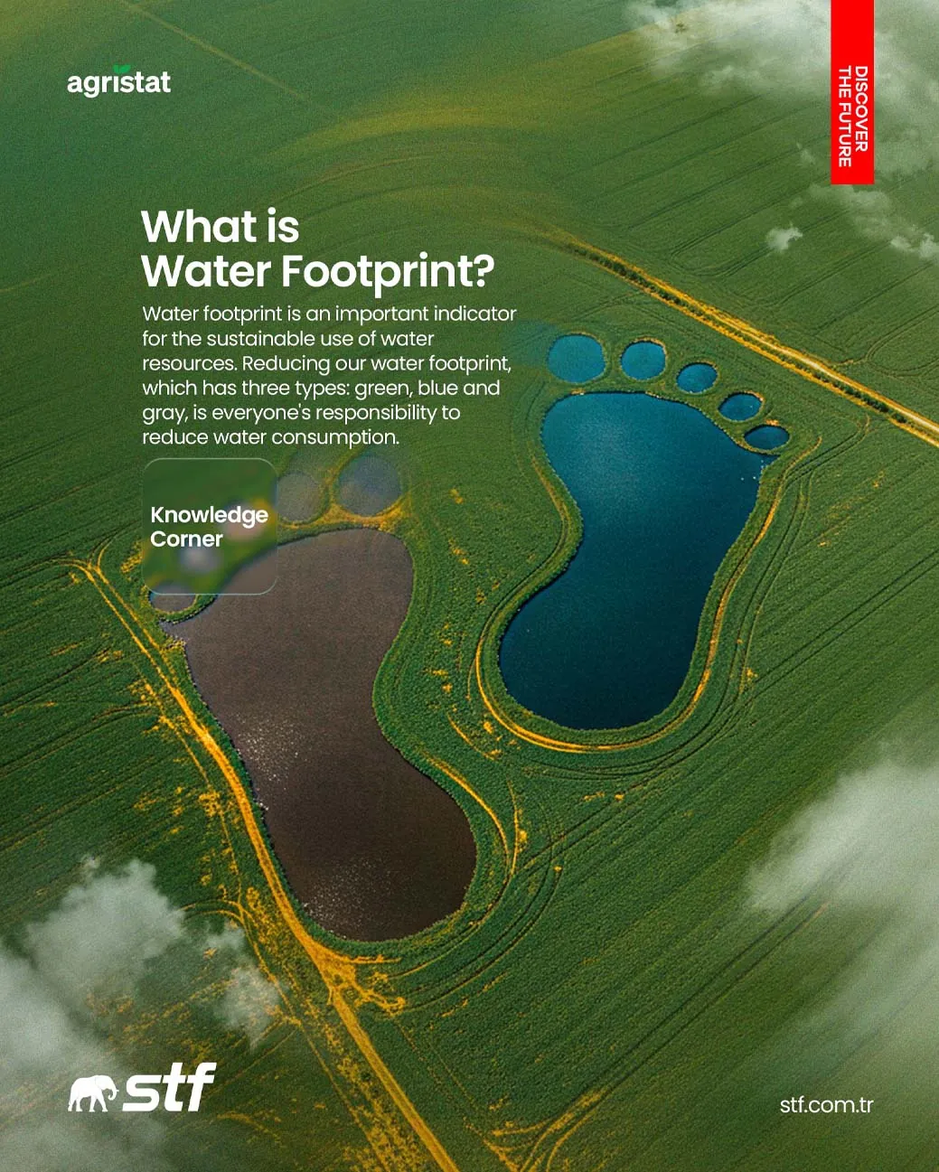 brochure image