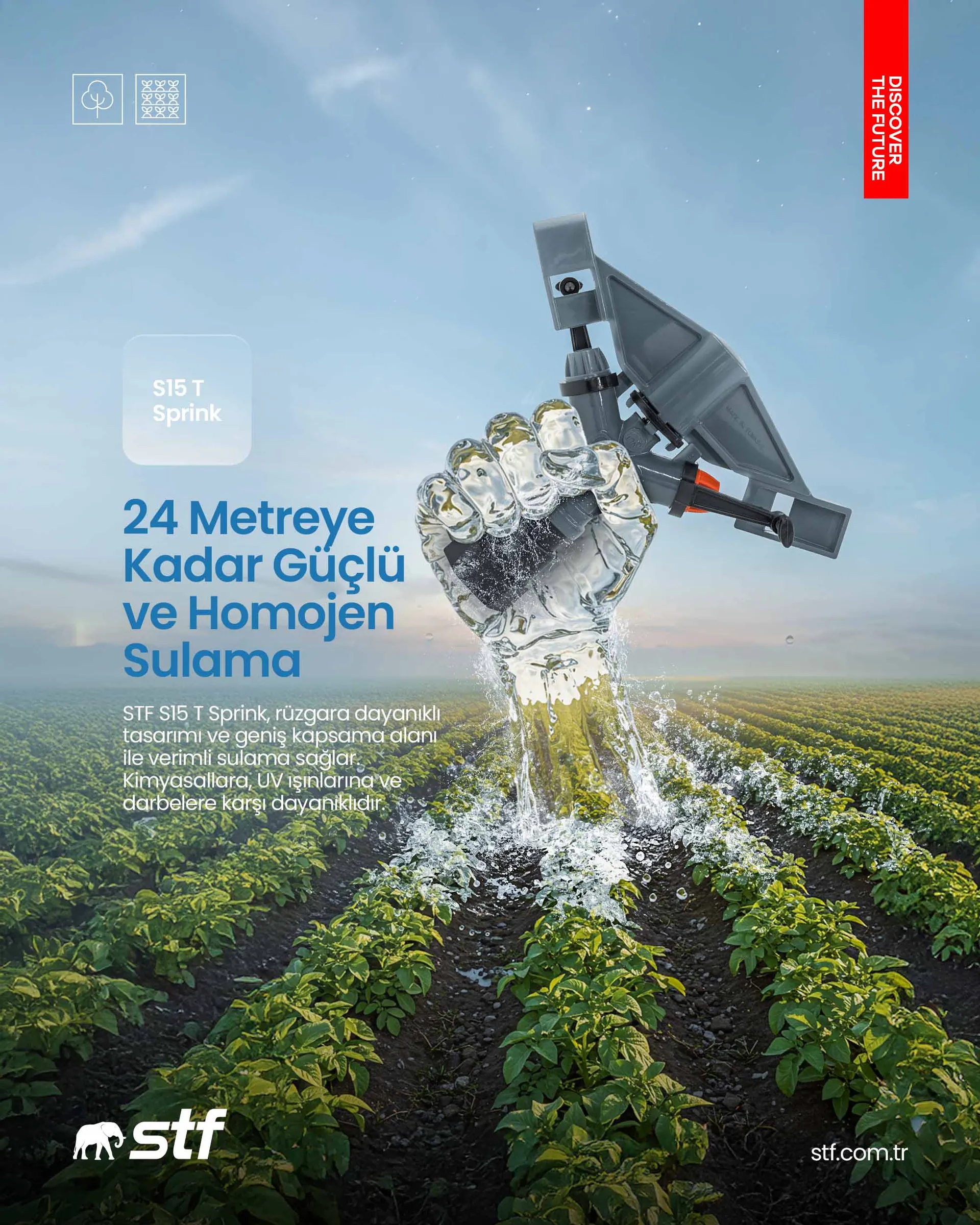 brochure image