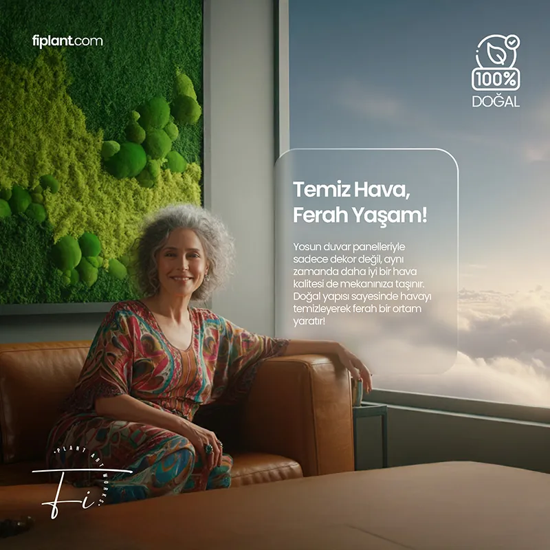 brochure image